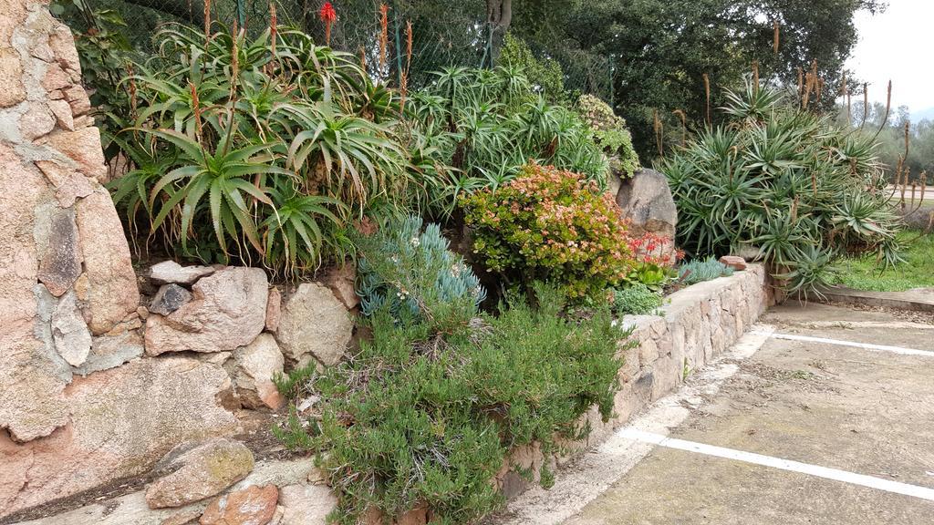 Corsica Hostel Porto-Vecchio, Partie Dortoirs المظهر الخارجي الصورة