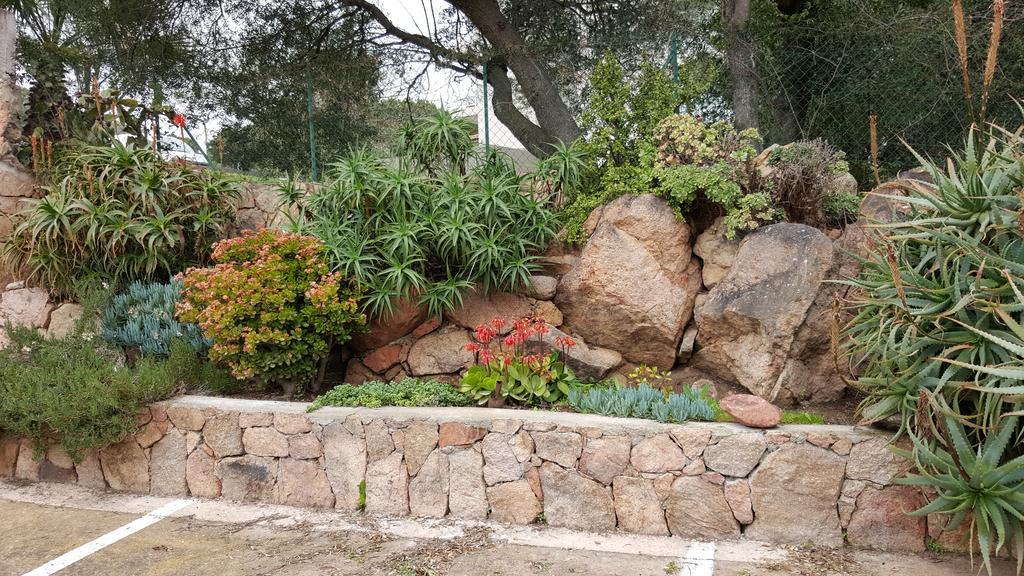 Corsica Hostel Porto-Vecchio, Partie Dortoirs المظهر الخارجي الصورة